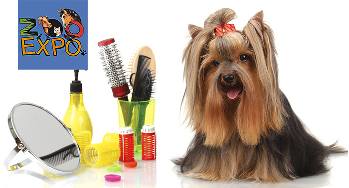 ¡Cuida y mima a tu mascota con esta completa sesión de peluquería canina!