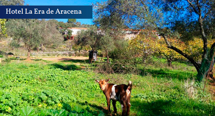 ¡Escapada a Aracena! Alojamiento para 2 con opción a Desayuno en la Sierra de Aracena