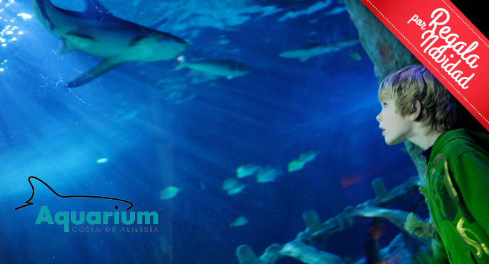Diversión para toda la familia descubriendo el fondo marino en el Aquarium Costa de Almería