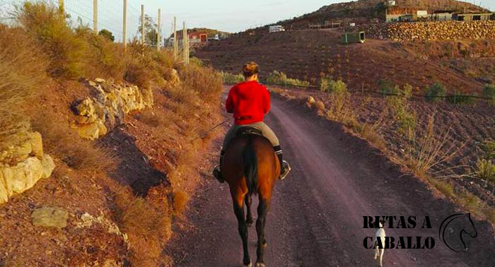 ¡Regala una experiencia única difícil de olvidar: Disfruta de una increíble Ruta a Caballo!