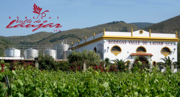 Disfruta de una experiencia enológica: Visita Bodegas Valle Laujar + Cata 7 Vinos + Maridaje