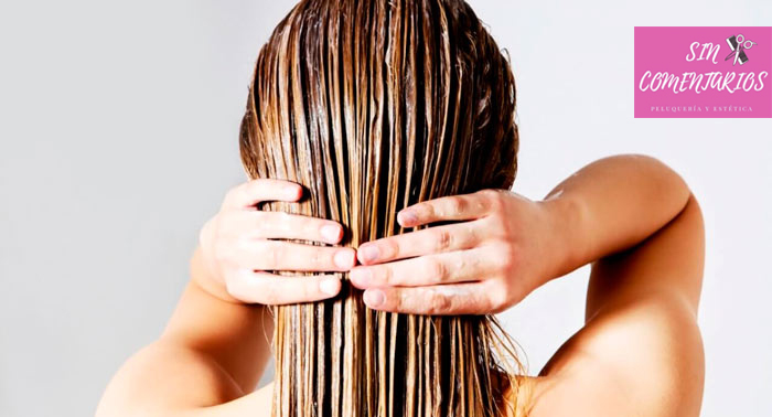 Cuida tu cabello y luce tu melena: Tratamiento de Hidratación + Lavado + Corte + Peinado