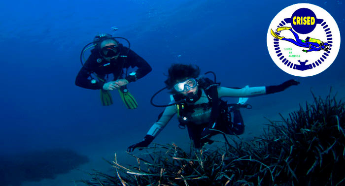 ¡Descubre el maravilloso fondo del mar! Bautismo de Buceo para 1 o 2 personas