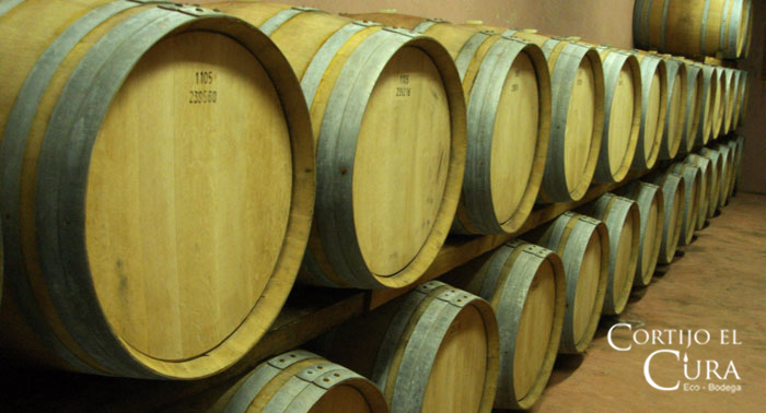 Visita Guiada a Bodega Cortijo El Cura + Cata de Vinos + Botella de Tinto Reserva Ecológico