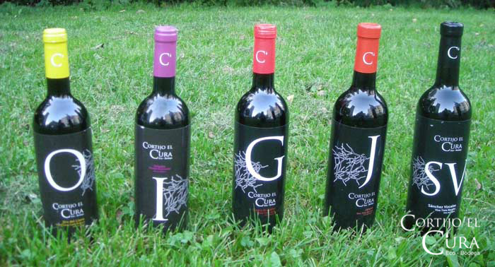 Visita Guiada a Bodega Cortijo El Cura + Cata de Vinos + Botella de Tinto Reserva Ecológico