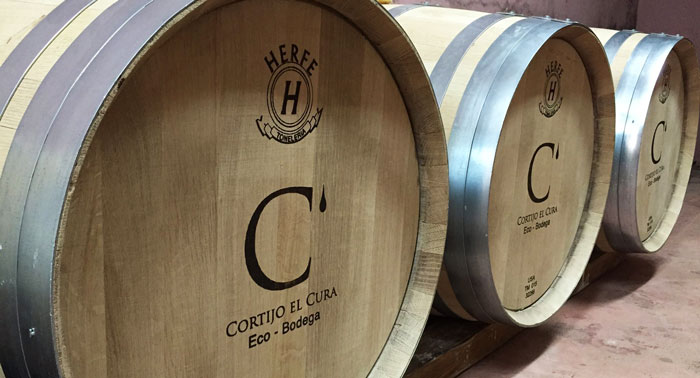 Visita Guiada a Bodega Cortijo El Cura + Cata de Vinos + Botella de Tinto Reserva Ecológico