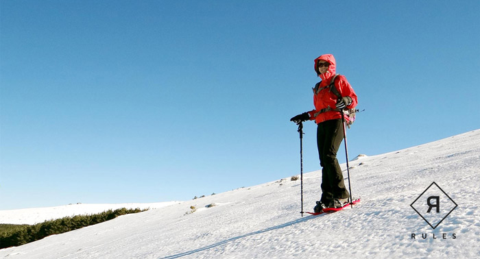 ¡Ruta por Sierra Nevada! Alquiler de Raquetas de Nieve y Bastones + Excursión de 2h
