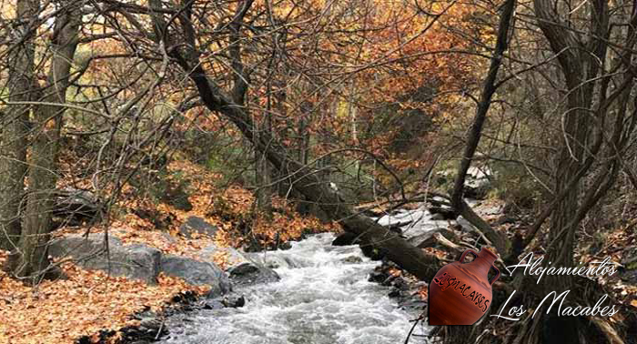 ¡Desconecta en plena naturaleza! Para 2 o 4 personas: 2 Noches de Alojamiento en Casa Rural 