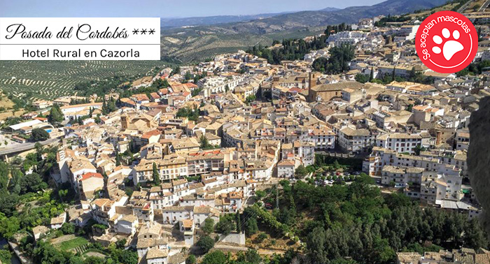 ¡Sorprende con una escapada! 1, 2 o 3 Noches de Alojamiento + Cena en Posada del Cordobés