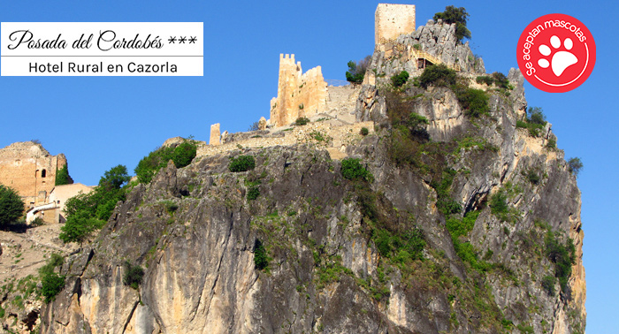 ¡Sorprende con una escapada! 1, 2 o 3 Noches de Alojamiento + Cena en Posada del Cordobés