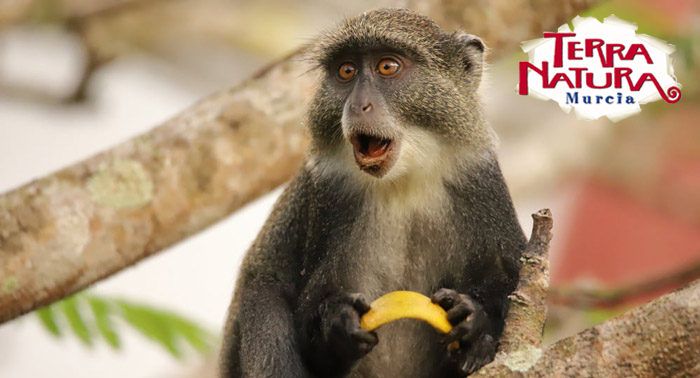 ¡Una escapada para regalar! Alojamiento + Entradas a Terra Natura + Jacuzzi + Masaje 