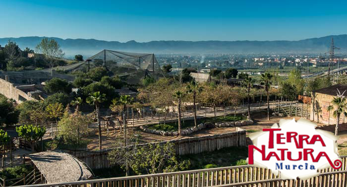 ¡Una escapada para regalar! Alojamiento + Entradas a Terra Natura + Jacuzzi + Masaje 