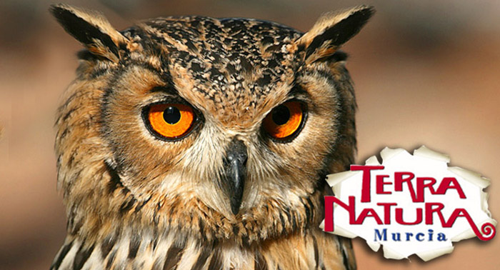¡Una escapada para regalar! Alojamiento + Entradas a Terra Natura + Jacuzzi + Masaje 