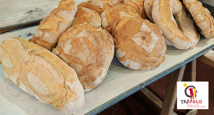 ¡Crea tu propio pan en una cueva! Visita Guiada en el Centro de Interpretación + Taller de Pan 