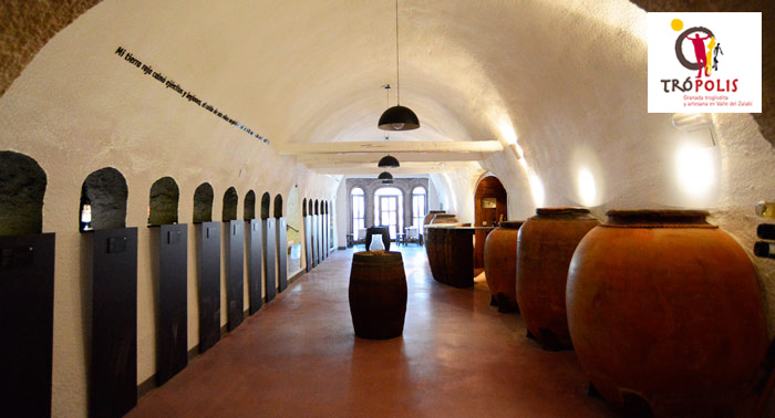¡Crea tu propio pan en una cueva! Visita Guiada en el Centro de Interpretación + Taller de Pan 