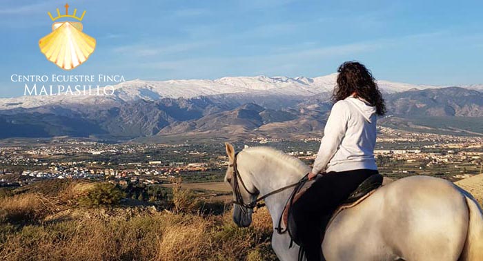 ¡Una experiencia única! Disfruta de una increíble Ruta a Caballo de 1 hora en Finca Malpasillo