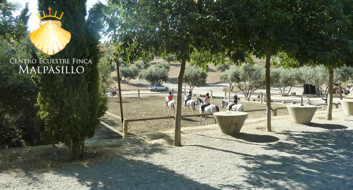 ¡Una experiencia única! Disfruta de una increíble Ruta a Caballo de 1 hora en Finca Malpasillo