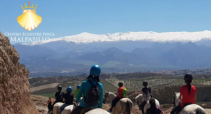¡Una experiencia única! Disfruta de una increíble Ruta a Caballo de 1 hora en Finca Malpasillo