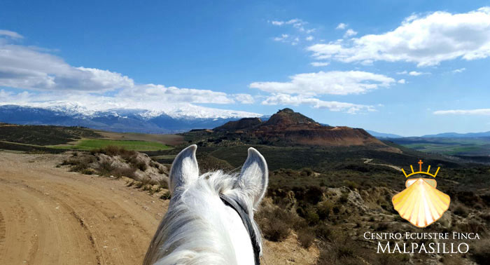 ¡Una experiencia única! Disfruta de una increíble Ruta a Caballo de 1 hora en Finca Malpasillo