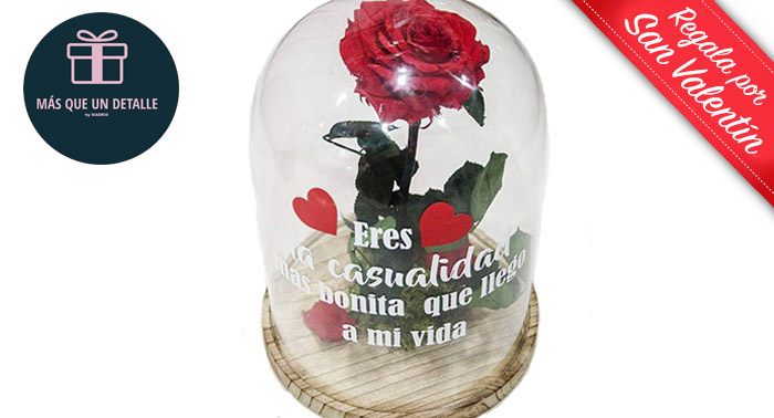 ¡Enamora para toda la vida! Regala una preciosa Rosa Eterna en Caja, Globo o Cúpula de Cristal