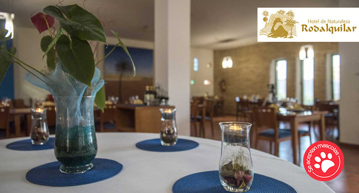 ¡Sorprende a tu pareja! Descubre el plan más romántico en el Hotel de Naturaleza Rodalquilar 