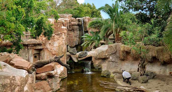 ¡Descubre la belleza de la naturaleza! Entrada General o Infantil para Bioparc Fuengirola