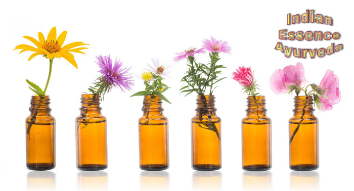 ¡Aprende sobre salud! Máster Online en Terapias Alternativas con Indian Essense Ayurveda