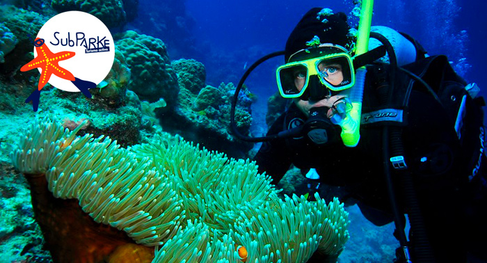 ¡Descubre los secretos marinos! Curso Buceo OPEN WATER PSS en el Parque Natural Cabo de Gata
