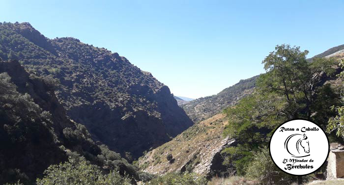 ¡Experiencia inolvidable! Ruta a Caballo de 2h por Sierra Nevada + Visita Granja + 1 Bebida 