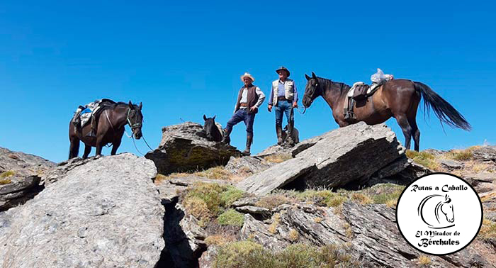 ¡Experiencia inolvidable! Ruta a Caballo de 2h por Sierra Nevada + Visita Granja + 1 Bebida 