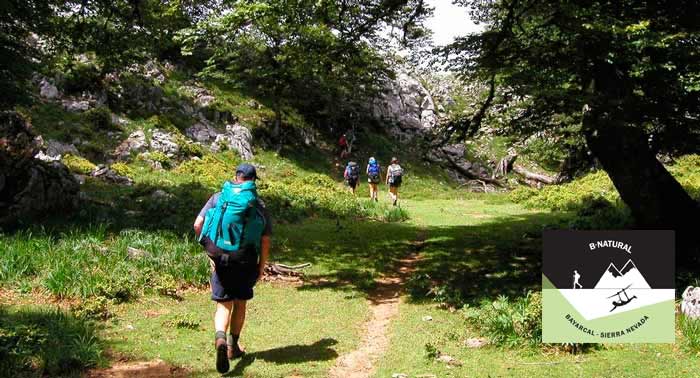 ¡Pack Zen! Tirolina + Senderismo + Meditación y Relajación + Baños de Bosque + Infusión