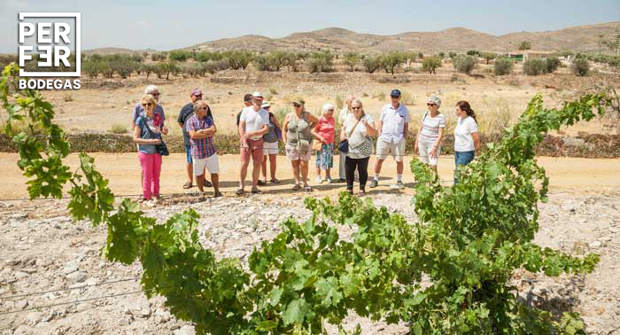 ¡Regala experiencias! Para 2 pax: Visita guiada a Bodegas Perfer + Cata de 3 Vinos + Aperitivo