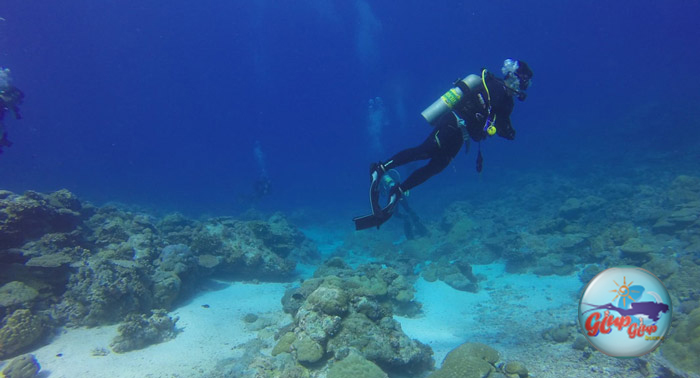 ¡Conoce el maravilloso Fondo Marino! Bautismo de Buceo en Salobreña con CBS Glup Glup