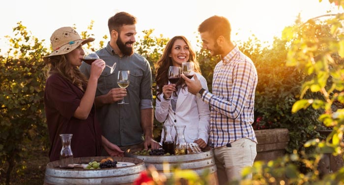 Comparte el Sabor del Buen Vino en una Visita Guiada con Cata y Aperitivos en Bodegas Perfer
