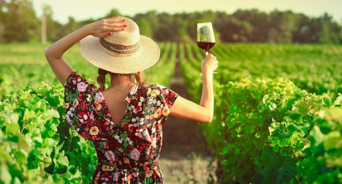 Comparte el Sabor del Buen Vino en una Visita Guiada con Cata y Aperitivos en Bodegas Perfer