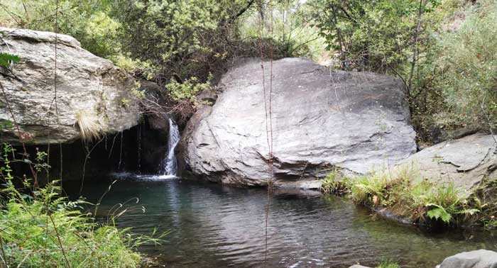 ¡Pack Zen! Tirolina + Senderismo + Meditación y Relajación + Baños de Bosque + Infusión
