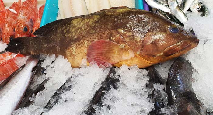 El sabor del pescado y marisco fresco de calidad con este combo de Pescadería Eloy