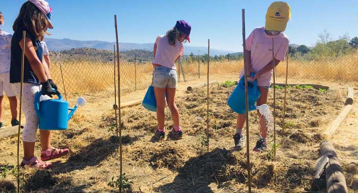 Campamentos de Verano 2024 en Julio para niños de 8 a 14 años en Aula de Naturaleza Paredes