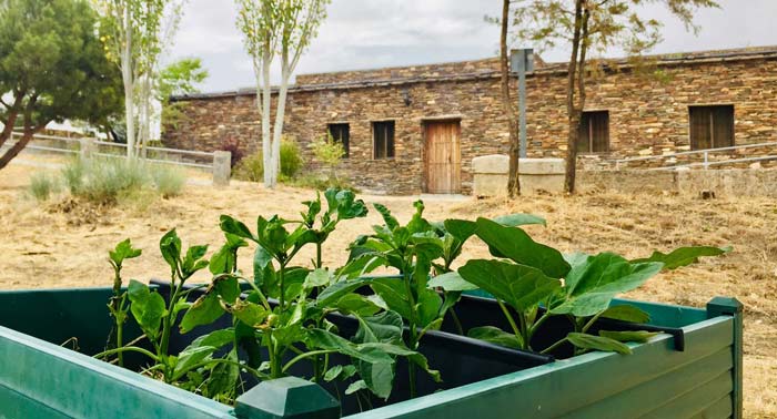 Campamentos de Verano 2024 en Julio para niños de 8 a 14 años en Aula de Naturaleza Paredes