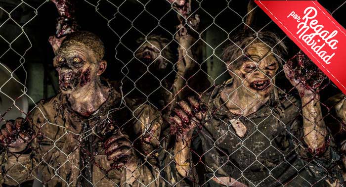 Escapa si puedes: Escape Room para 6 Personas de Saw, Walking Dead o Expediente Warren 