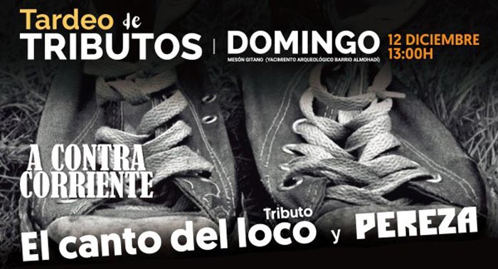 ¡El mejor tardeo de Tributos llega a Almería para hacernos bailar!