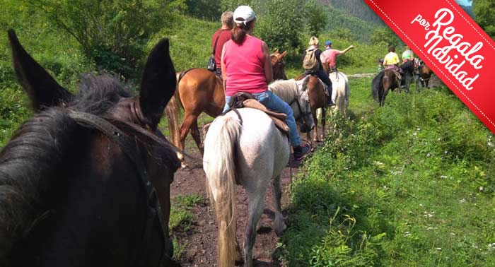 ¡Experiencia única! Disfruta de una increíble Ruta a Caballo de 1 hora en Finca Malpasillo