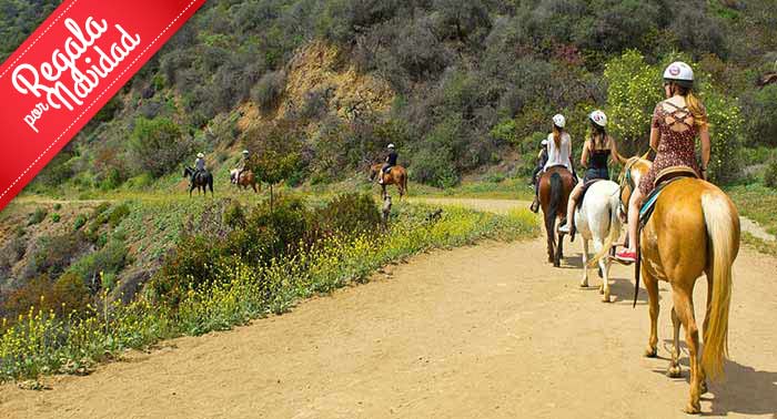 ¡Experiencia única! Disfruta de una increíble Ruta a Caballo de 1 hora en Finca Malpasillo