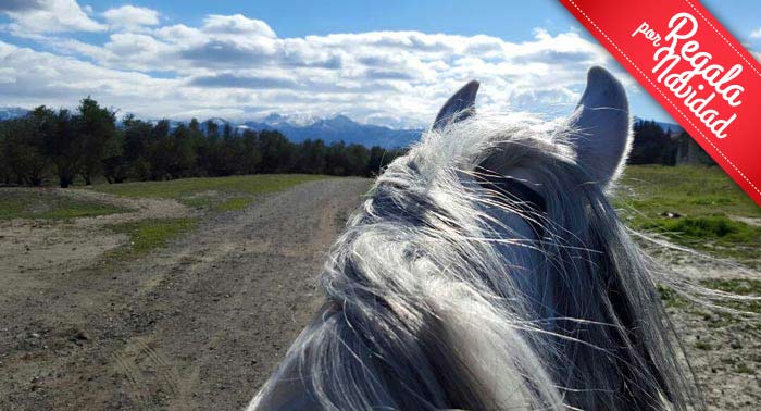 ¡Experiencia única! Disfruta de una increíble Ruta a Caballo de 1 hora en Finca Malpasillo