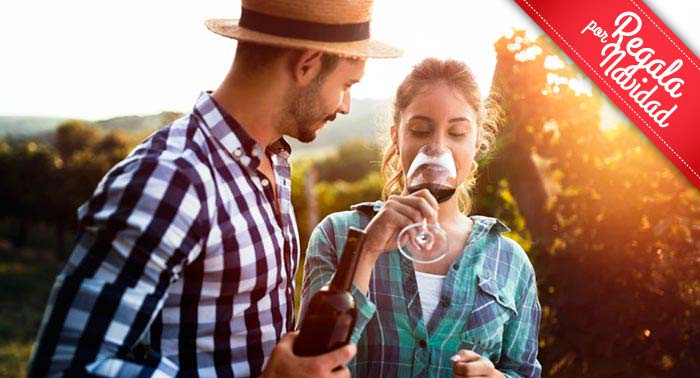 Visita Guiada a Bodega Cortijo El Cura + Cata de Vinos + Botella de Tinto Reserva Ecológico
