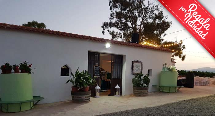Visita Guiada a Bodega Cortijo El Cura + Cata de Vinos + Botella de Tinto Reserva Ecológico