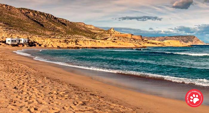 ¡Enamora! 1 Noche + Cena + Desayuno + Spa 45min + Detalle en Hotel de Naturaleza Rodalquilar