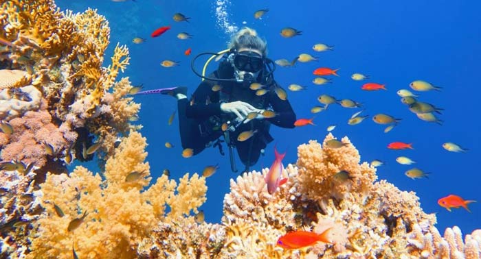 Regala Aventura: Bautismo de Buceo en el Parque Natural de Cabo de Gata