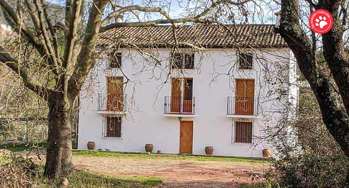 2 Noches en Casa Rural en el P.N. Cazorla, Segura y Las Villas  + Botella Vino + 2 Actividades