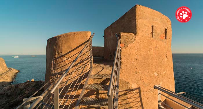 Regala exclusividad con 1 o 2 Noches en la Torre de La Garrofa con vistas al Mar Mediterráneo